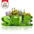 РАСПРОДАЖА! Успей купить! РАСПРОДАЖА! Успей купить!