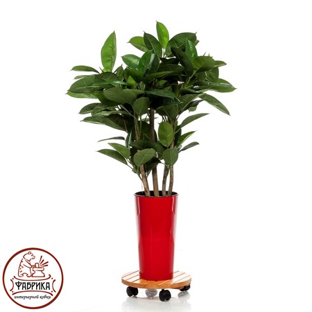 Подставка для цветов на колесиках 