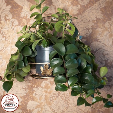 Подставка для цветов настенная 15-101