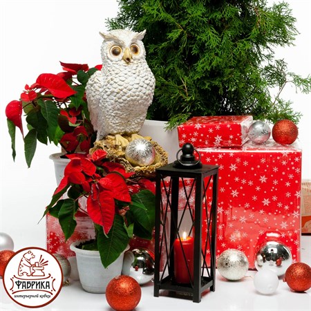 Декоративное кашпо филин