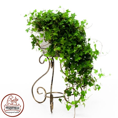 Кованая цветочница