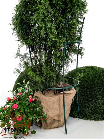 опора для растений металлическая