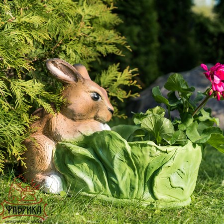 Кашпо для растений