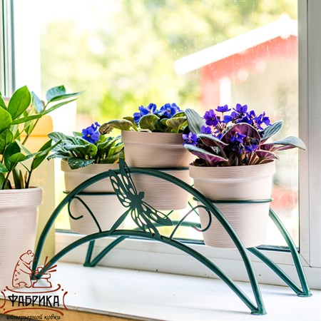 оригинальный подарок