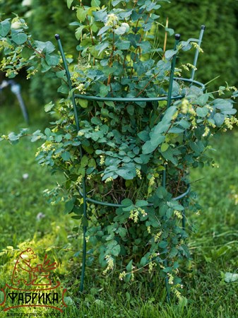 опора для роз