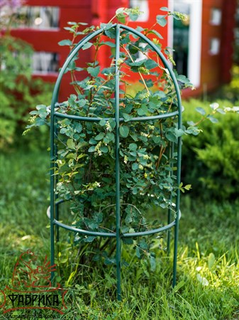 опора для пионов