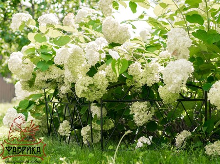 декоративное ограждение в саду