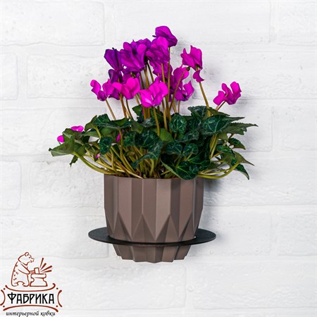 для растений