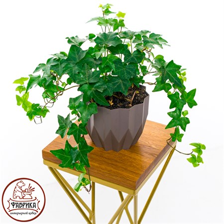подставка для растений