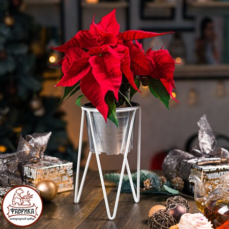 цветочница 66-609 цв.белый