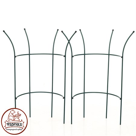 для правильного развития растений