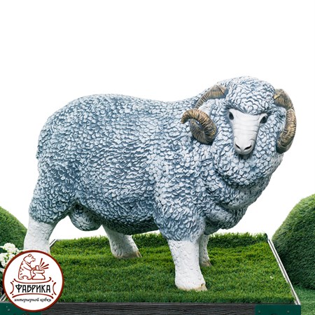 фигура баран