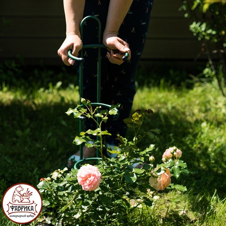 опора для роз