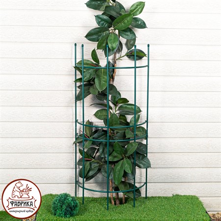 для растений