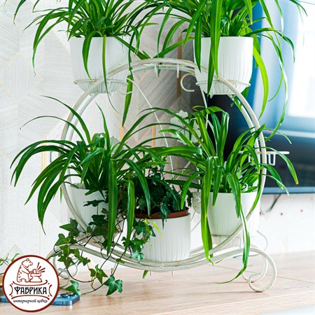 для 8 растений