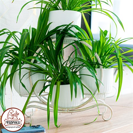 подставка на 4 растения