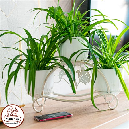 для трёх растений