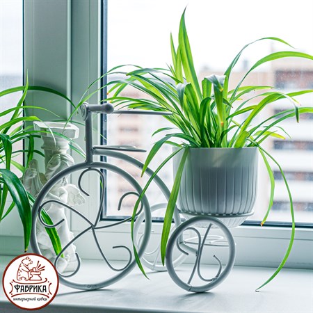 белая подставка для цветов