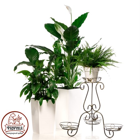 Кованая подставка для цветов