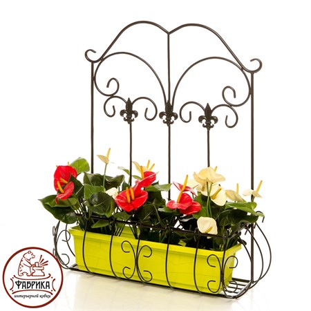 Настенная подставка для цветов